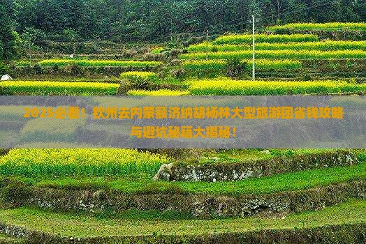 钦州去内蒙额济纳胡杨林大型旅游团