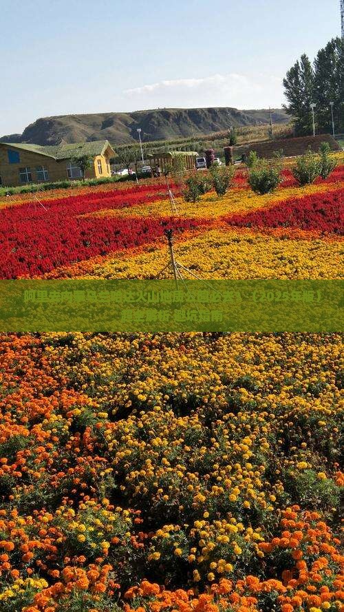 阿里去内蒙乌兰哈达火山地质公园必去地