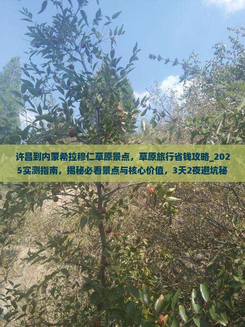许昌到内蒙希拉穆仁草原景点 许昌到内蒙希拉穆仁草原景点