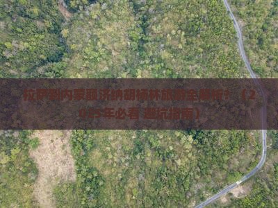 拉萨到内蒙额济纳胡杨林旅游