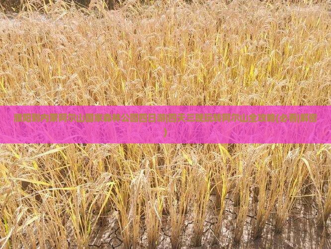 濮阳到内蒙阿尔山国家森林公园四日游