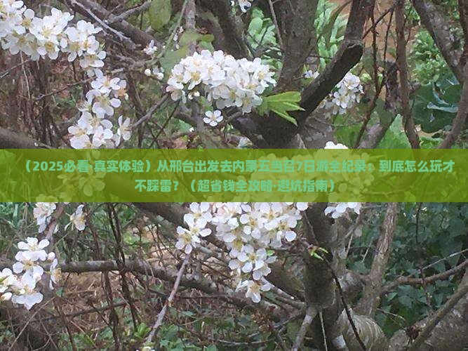 邢台去内蒙五当召七日游