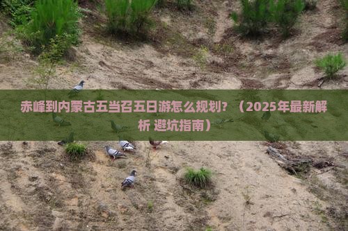 赤峰到内蒙五当召五日游