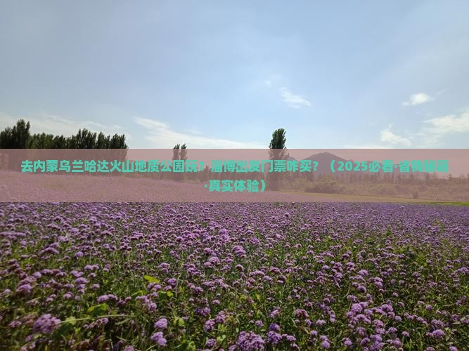 淄博到内蒙乌兰哈达火山地质公园门票