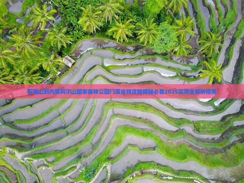 石嘴山到内蒙阿尔山国家森林公园门票