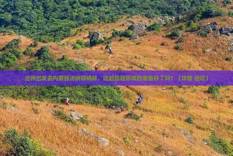 达州到内蒙额济纳胡杨林必去地