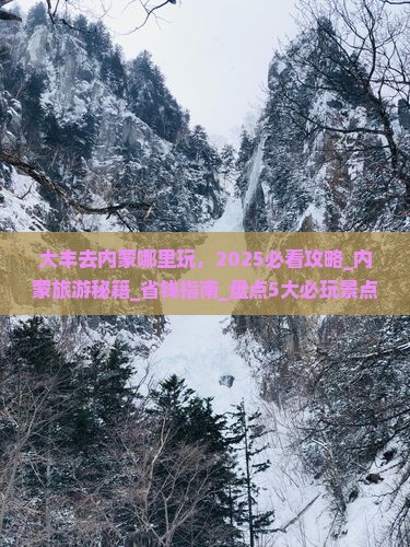 大丰去内蒙哪里玩