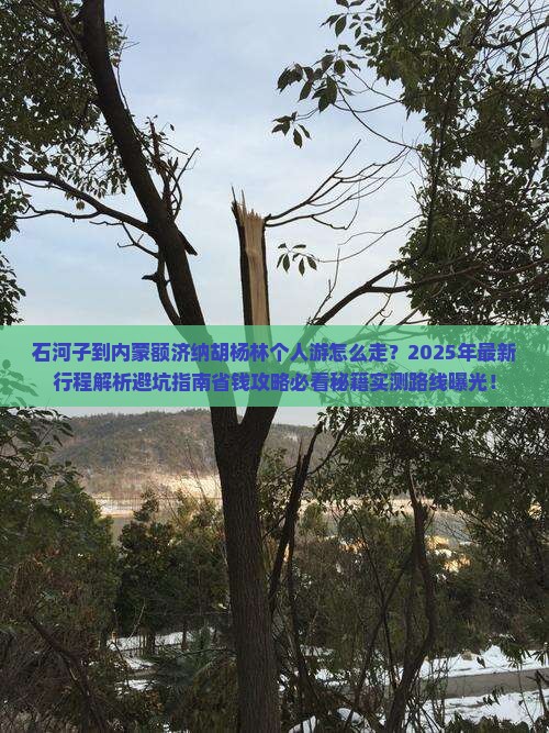 石河子到内蒙额济纳胡杨林个人游
