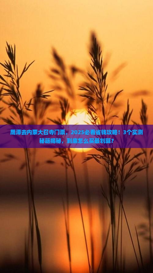 鹰潭去内蒙大召寺门票