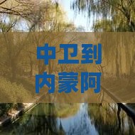 中卫到内蒙阿尔山国家森林公园四日游