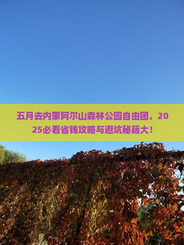 五月去内蒙阿尔山国家森林公园自由团