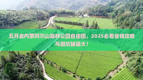 五月去内蒙阿尔山国家森林公园自由团