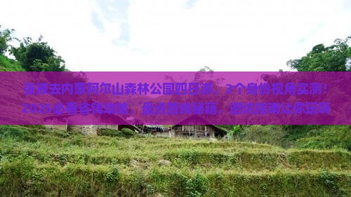 张掖去内蒙阿尔山国家森林公园四日游