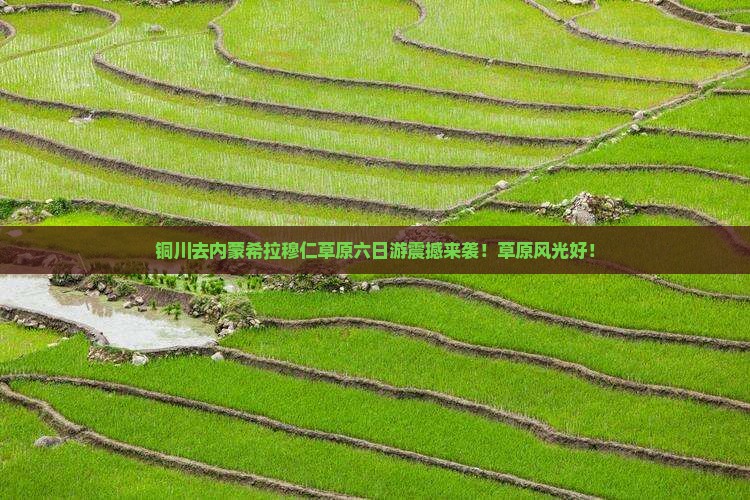 铜川去内蒙希拉穆仁草原六日游