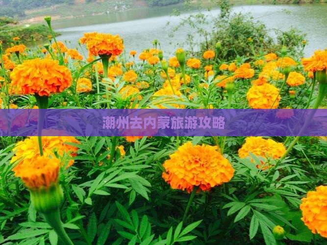 潮州去内蒙景点