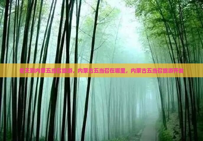 冬天到内蒙五当召旅游