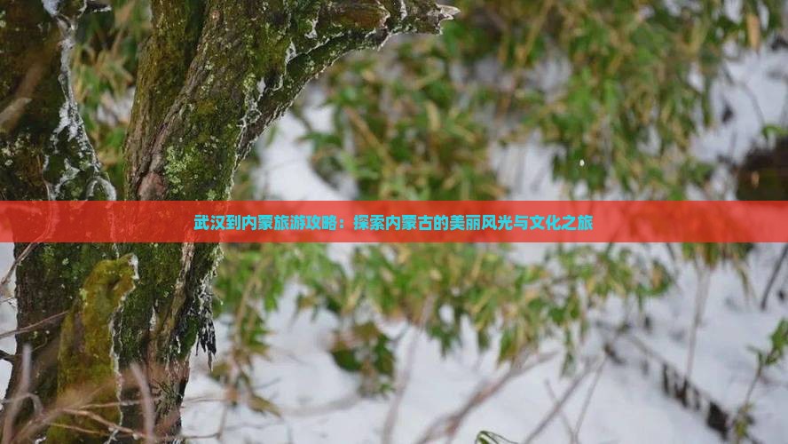 武汉到内蒙旅游