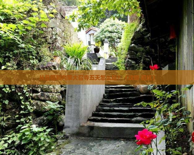 岳阳去内蒙大召寺五日游