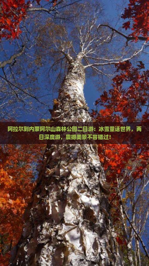 阿拉尔到内蒙阿尔山国家森林公园二日游