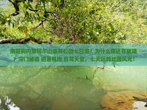 南阳到内蒙阿尔山国家森林公园七日游