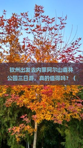 钦州去内蒙阿尔山国家森林公园三日游