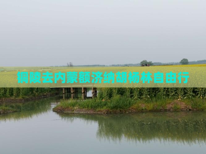 铜陵去内蒙额济纳胡杨林自由行