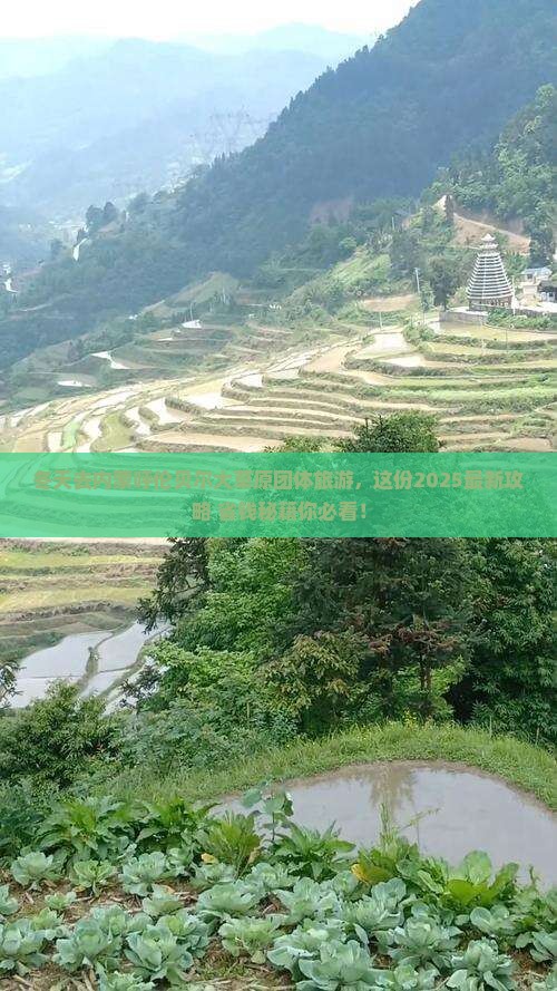 冬天去内蒙呼伦贝尔大草原团体旅游