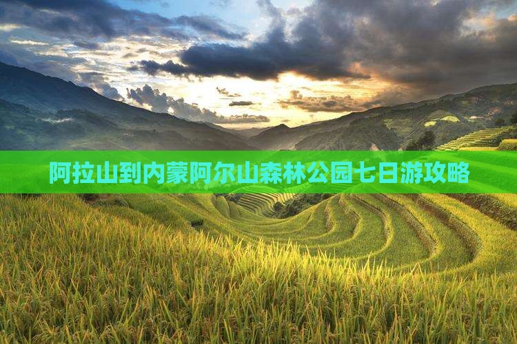 阿拉尔到内蒙阿尔山国家森林公园七日游