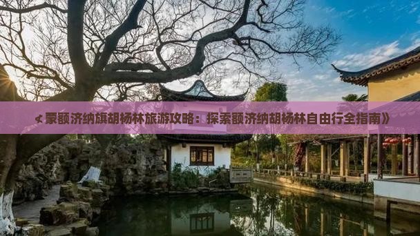 ≮蒙额济纳旗胡杨林旅游攻略：探索额济纳胡杨林自由行全指南》