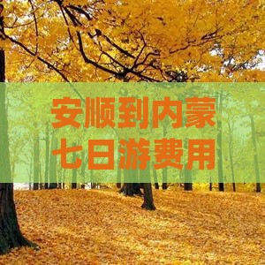 安顺到内蒙七日游费用及行程路线攻略