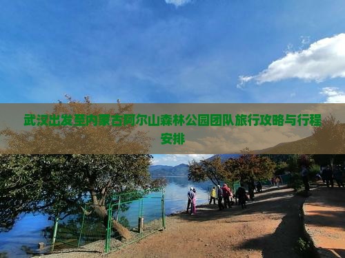 武汉出发至内蒙古阿尔山森林公园团队旅行攻略与行程安排