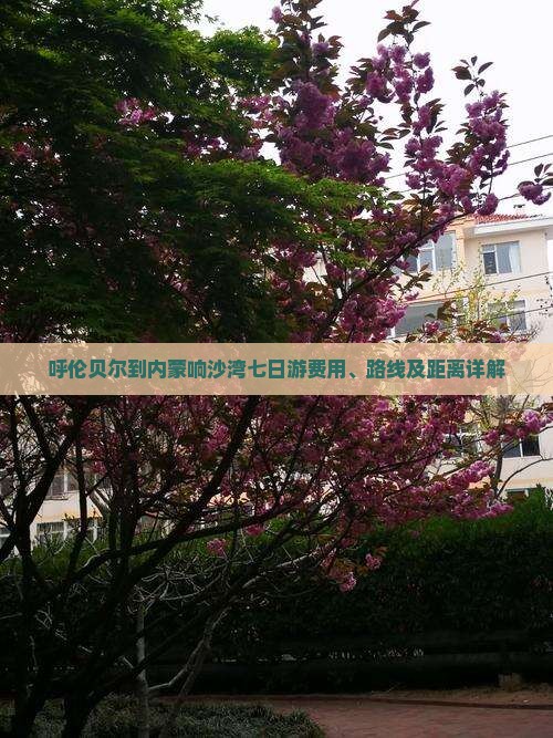 呼伦贝尔到内蒙响沙湾七日游费用、路线及距离详解