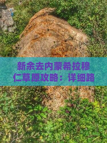 新余去内蒙希拉穆仁草原攻略：详细路线指南