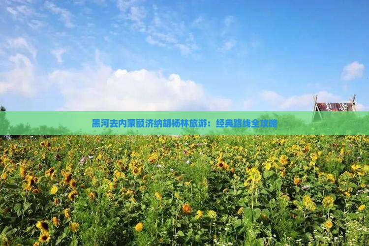 黑河去内蒙额济纳胡杨林旅游：经典路线全攻略