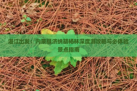 湛江出发：内蒙额济纳胡杨林深度游攻略与必体验景点指南