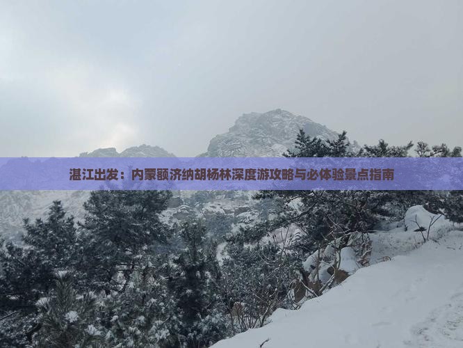 湛江出发：内蒙额济纳胡杨林深度游攻略与必体验景点指南
