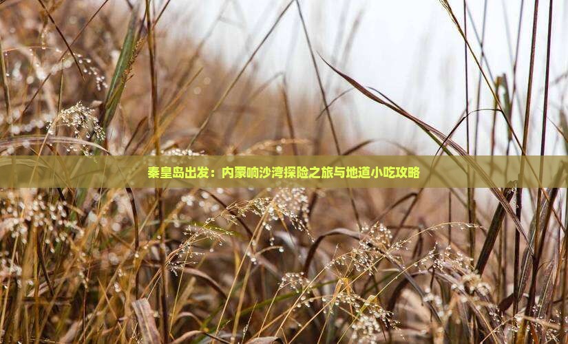 秦皇岛出发：内蒙响沙湾探险之旅与地道小吃攻略
