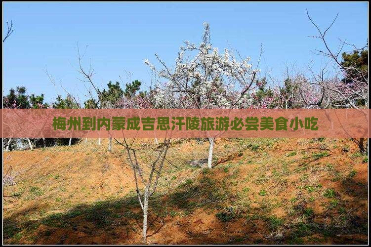 梅州到内蒙成吉思汗陵旅游必尝美食小吃
