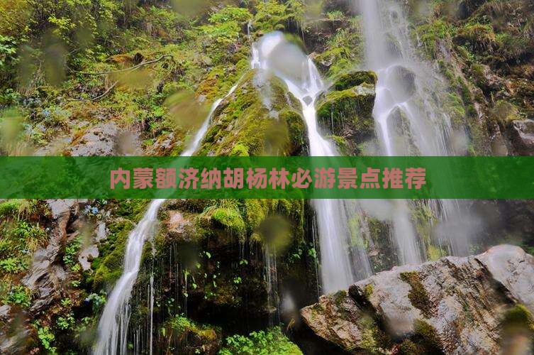 内蒙额济纳胡杨林必游景点推荐