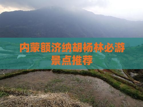 内蒙额济纳胡杨林必游景点推荐