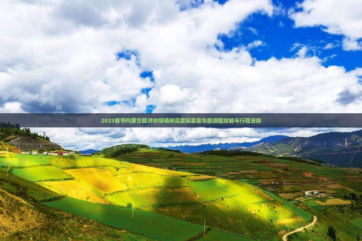 2023春节内蒙古额济纳胡杨林深度探索豪华旅游团攻略与行程安排