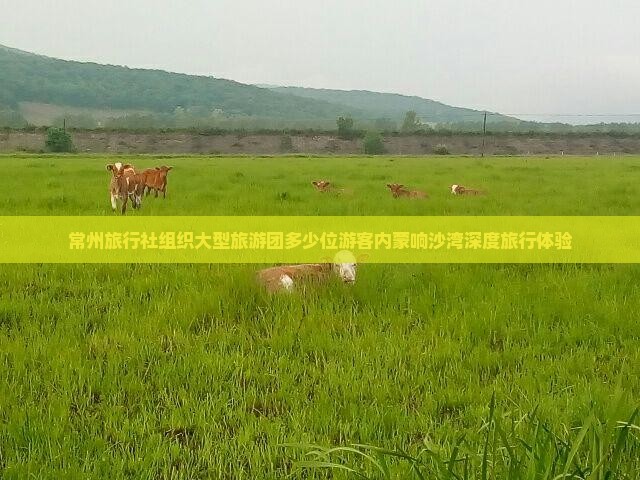 常州旅行社组织大型旅游团多少位游客内蒙响沙湾深度旅行体验