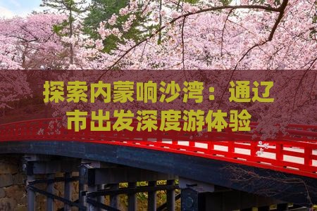探索内蒙响沙湾：通辽市出发深度游体验