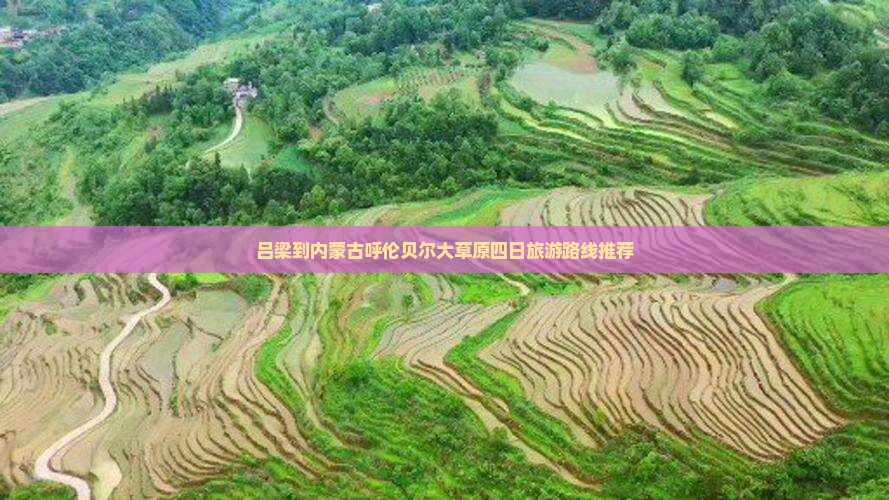 吕梁到内蒙古呼伦贝尔大草原四日旅游路线推荐