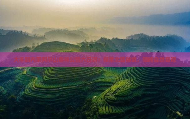 大丰到内蒙阿尔山森林公园六日游：探索北国秘境，领略自然奇观