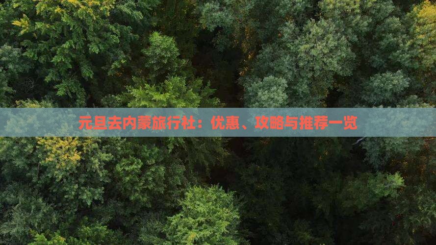 元旦去内蒙旅行社：优惠、攻略与推荐一览