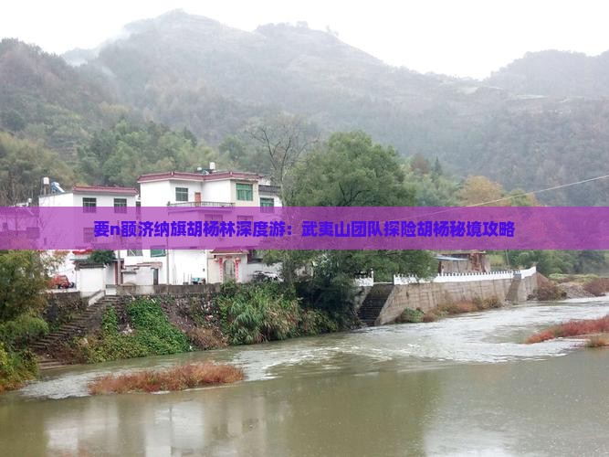 要n额济纳旗胡杨林深度游：武夷山团队探险胡杨秘境攻略