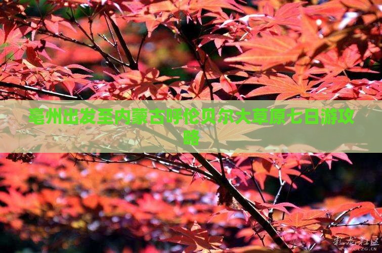 亳州出发至内蒙古呼伦贝尔大草原七日游攻略