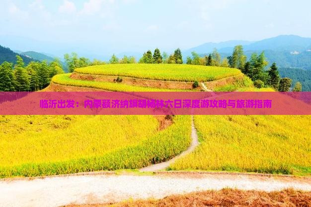 临沂出发：内蒙额济纳旗胡杨林六日深度游攻略与旅游指南