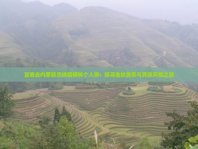 宜春去内蒙额济纳胡杨林个人游：探寻金秋美景与民族风情之旅